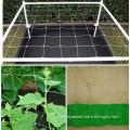 PP Plant Support Net Climbing Plant Support Netting